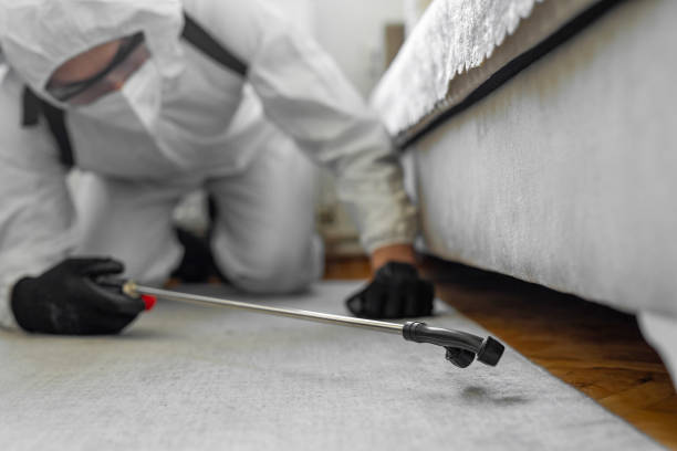 Professional Ant Control technician working in Alamo, TX