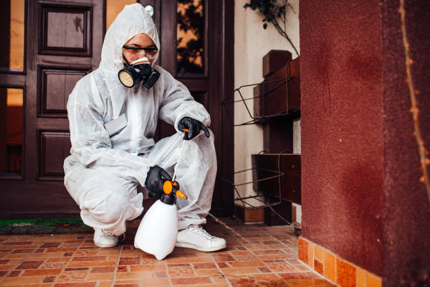 Reliable Ant Control contractor in Alamo, TX by Show Me Pest Control